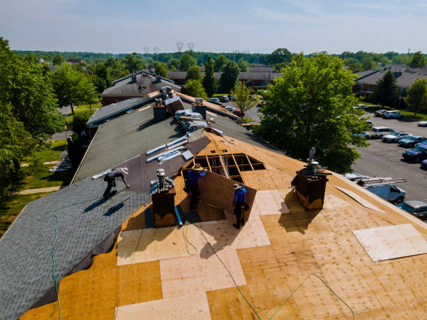 Trusted Roof Installation service in Augusta Springs, VA - Brentwood Metal Roofing